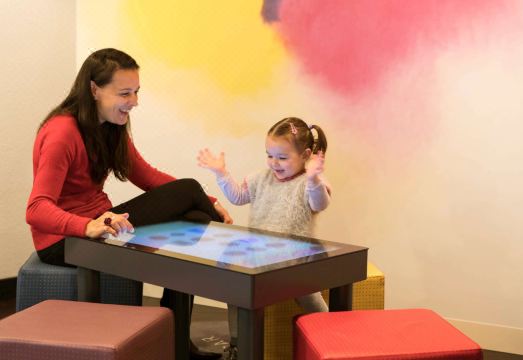 Novotel Suites Paris Stade de France Hotel Overview