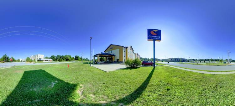 卡尔德本大学区舒适套房酒店(Comfort Inn & Suites Carbondale University Area)图片