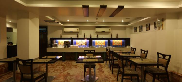 德里帕哈甘吉国王酒店(Hotel le Roi Near New Delhi Railway Station)图片