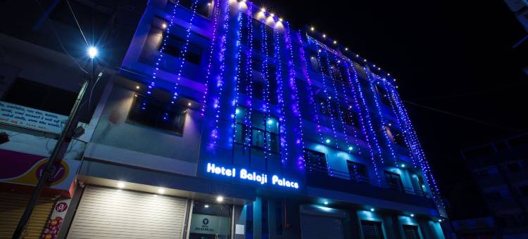 巴拉吉宫殿酒店(Hotel Balaji Palace)图片