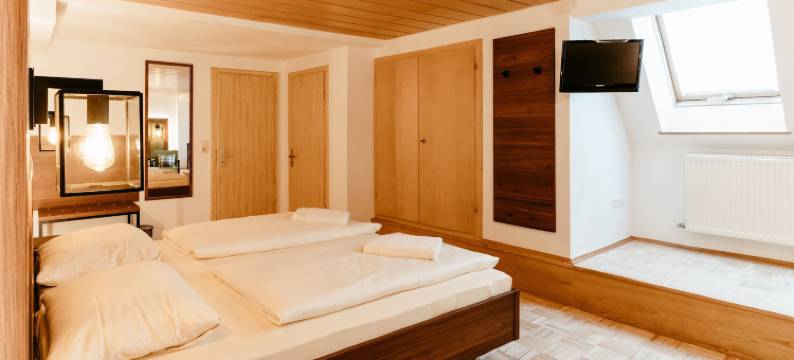 金吉瑞芬酒店(Hotel-Gasthof Goldener Greifen)图片