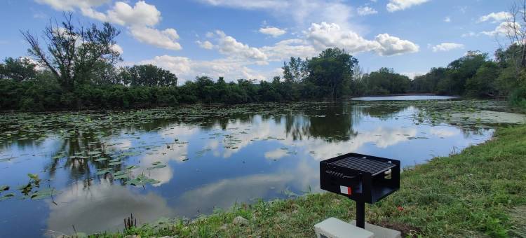 雪松湾酒店(Cedar Cove)图片