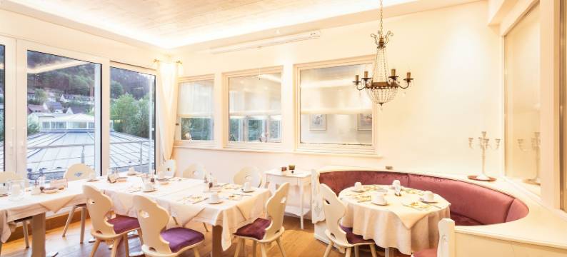 特拉贝酒店(Hotel Traube Revital)图片