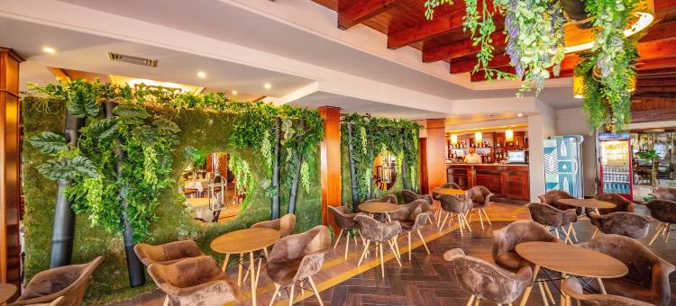 雄伟酒店(Hotel Majestic)图片