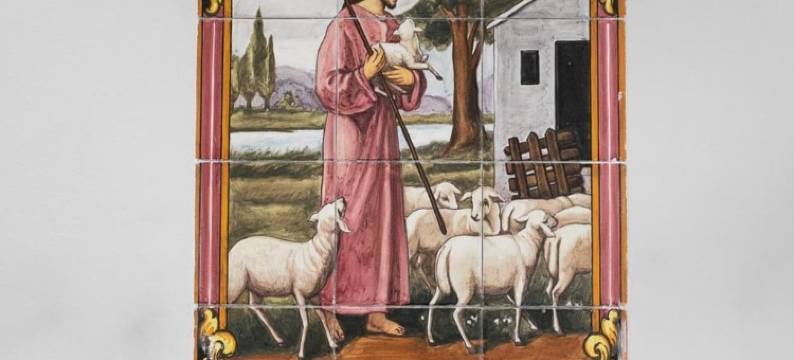 加迪兹星球旅馆(Planeta Cadiz Hostel)图片