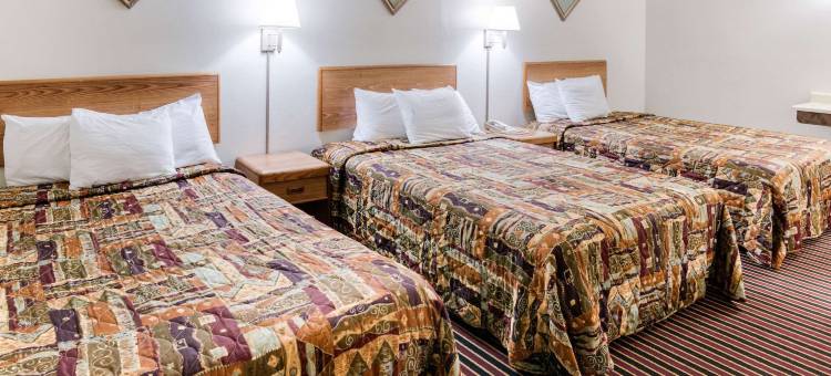 奥斯汀罗德威旅馆(Rodeway Inn & Suites)图片