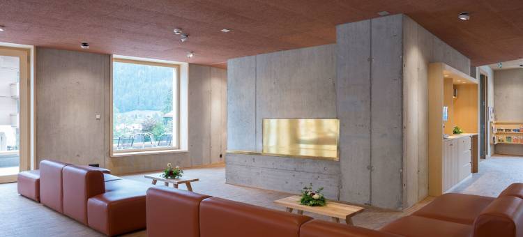 萨嫩-格施塔德青年旅舍(Saanen Gstaad Youth Hostel)图片