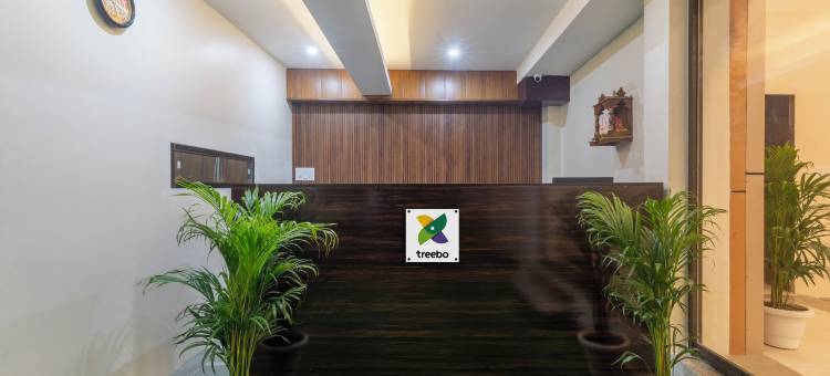 Treebo 金色卡西(Treebo Golden Kashi)图片