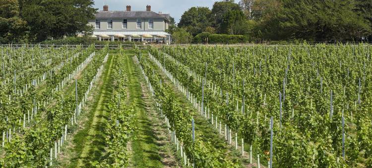 南唐斯的THE PIG - 西萨塞克斯(THE PIG in the South Downs - West Sussex)图片