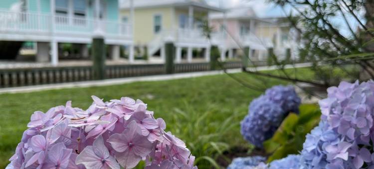 键西小屋(Key West Cottages)图片