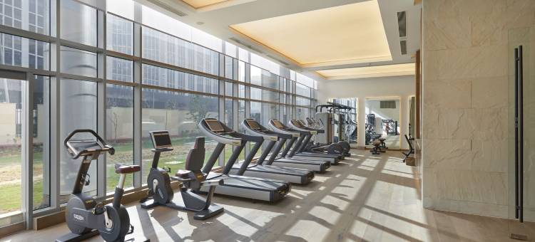 德里Hyatt公寓(Hyatt Delhi Residences)图片