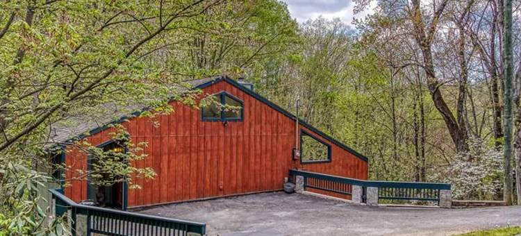 在烟雾腾腾的山中找到和平宁静与放松(Woods Child Cabin by Beyond Expectation W Hot Tub)图片