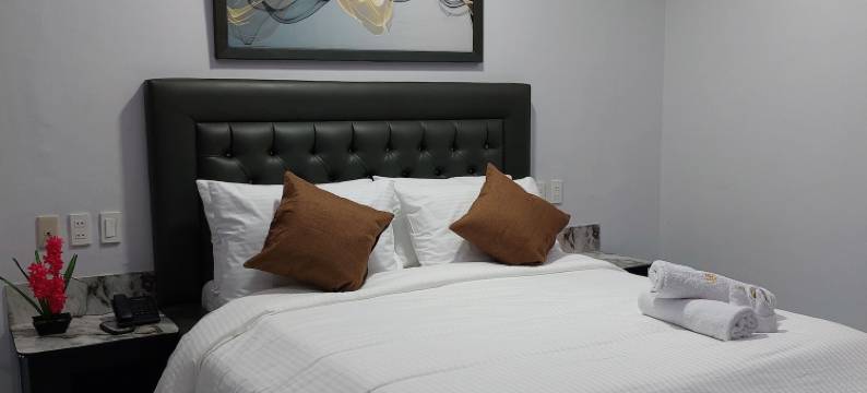 田野酒店旋转木马(Fields Hotel Carousel)图片