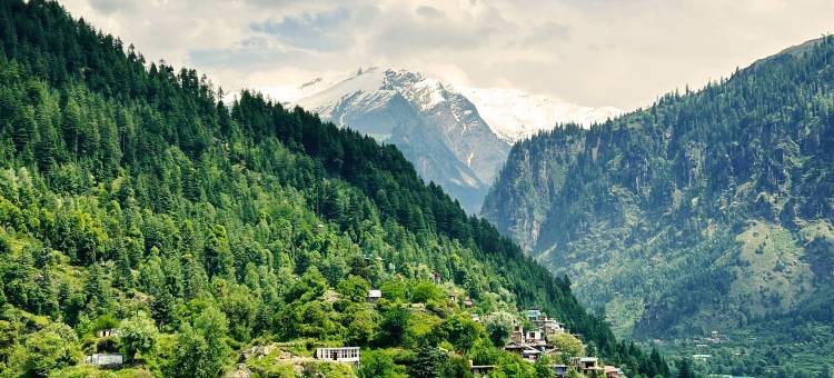 马那里书签度假村(Bookmark Resorts, Manali)图片