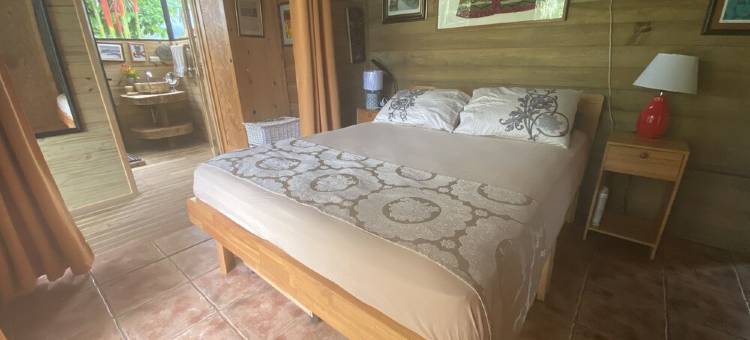 Villa Casa Mediterranea with Pool, big Garden, Mountain View near beach/forest图片