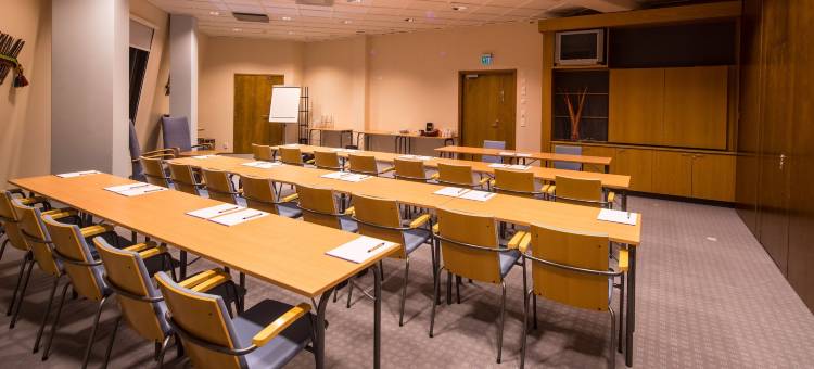 拉普兰萨迦酒店(Lapland Hotels Saaga)图片