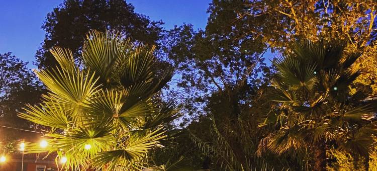 拉北提德高尔夫酒店(Logis la Bastide des Golfs)图片