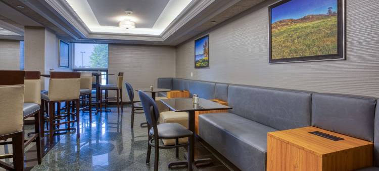 圣路易斯费尔维尤海兹德鲁里套房酒店(Drury Inn & Suites St. Louis Fairview Heights)图片