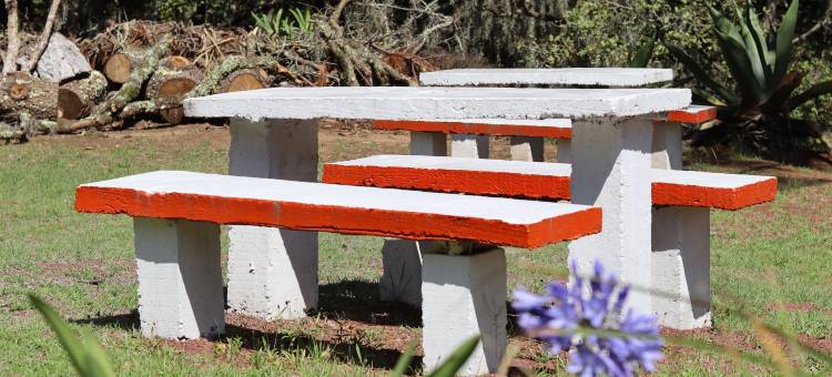 别墅林蒙小屋(Bungalows Villa Limon)图片