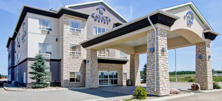 阿西尼波亚卡纳尔塔酒店(Canalta Hotel Assiniboia)图片