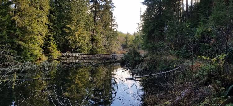 Motel 6 – 阿伯丁，华盛顿州(Motel 6 - Aberdeen, WA)图片