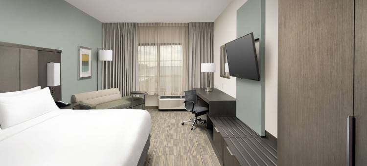 洲际酒店集团智选假日酒店彭萨科拉市中心(Holiday Inn Express Pensacola Downtown)图片