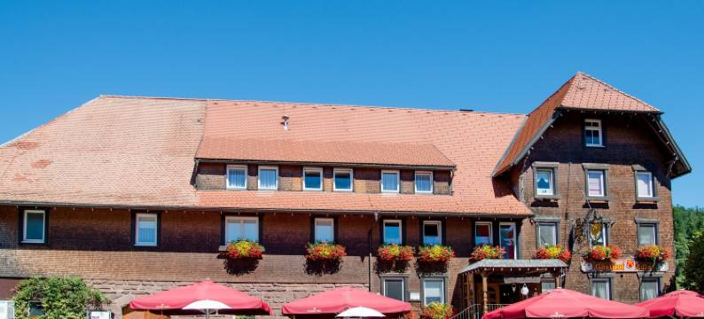 阿德勒福伦比尔旅馆(Gasthaus Adler Fohrenbühl)图片