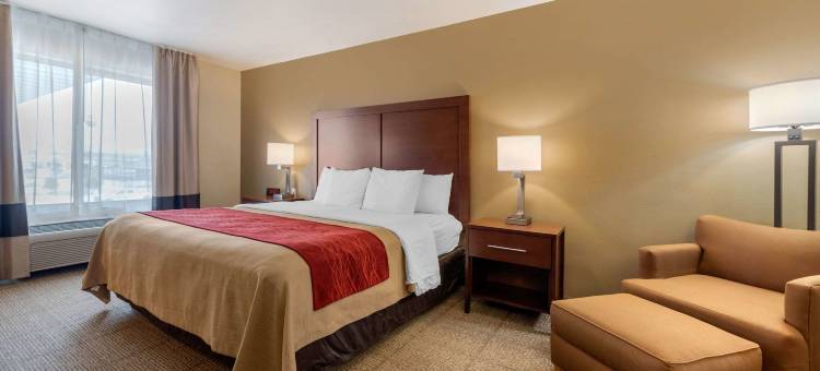 舒适酒店(Comfort Inn Limon)图片