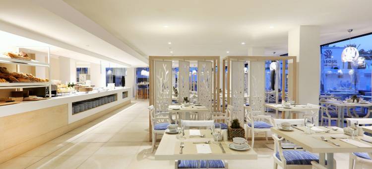 帕尔马湾伊波罗之星波浪酒店 - 仅供成人入住(Iberostar Waves Bahía de Palma - Adults Only)图片