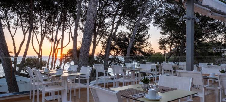 伊波罗之星海浪皮诺斯公园酒店(Iberostar Waves Pinos Park)图片