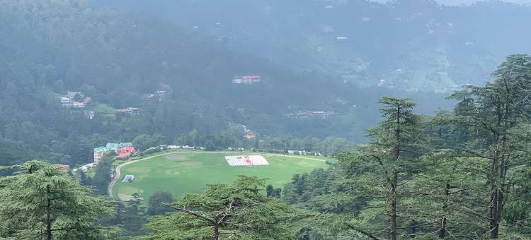 阿莱卡家庭旅馆(Aarika Homestay)图片