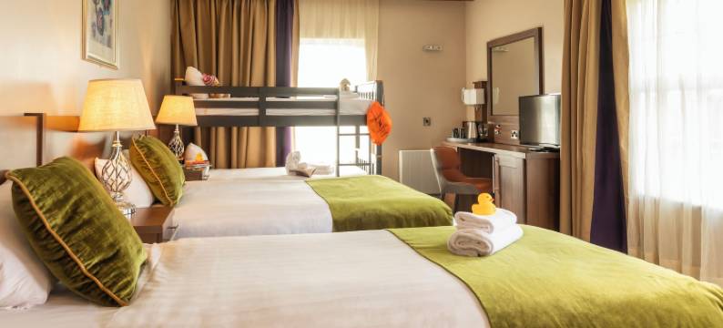 卡罗伍德福德多尔曼酒店(Woodford Dolmen Hotel Carlow)图片