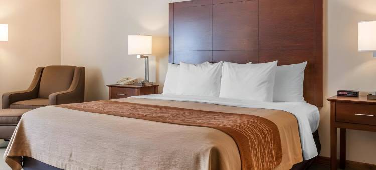 萨利达舒适酒店(Comfort Inn Salida)图片