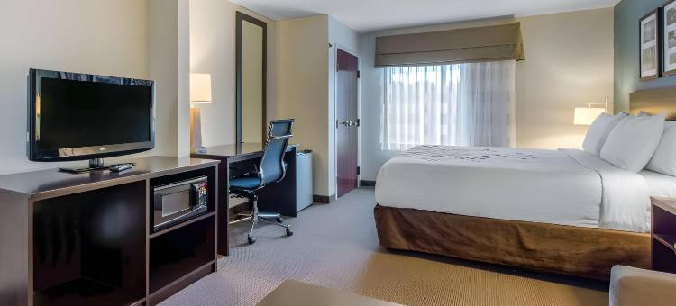 奥本校园区I-85舒眠套房酒店(Sleep Inn & Suites Auburn Campus Area I-85)图片