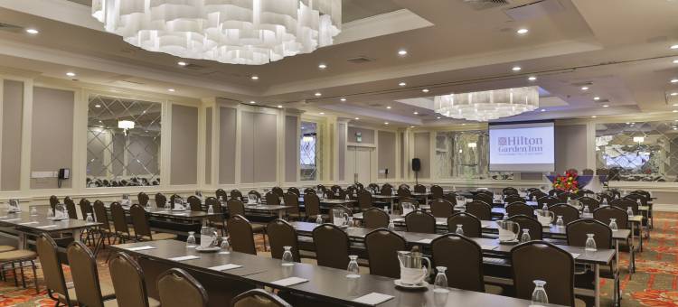 危地马拉市希尔顿花园酒店(Hilton Garden Inn Guatemala City)图片