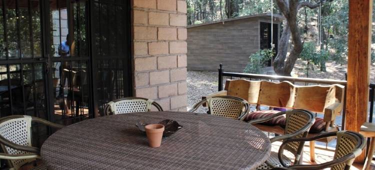 Cabin immersed in 1 hectare of forest. Maximum Internet power (Starlink)图片