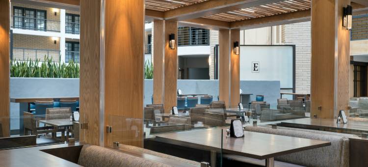 奥斯汀中央希尔顿安泊酒店(Embassy Suites by Hilton Austin Central)图片