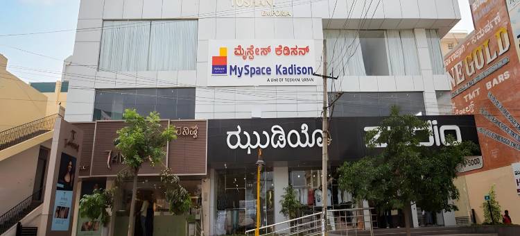 我的空间卡迪森(MySpace Kadison)图片