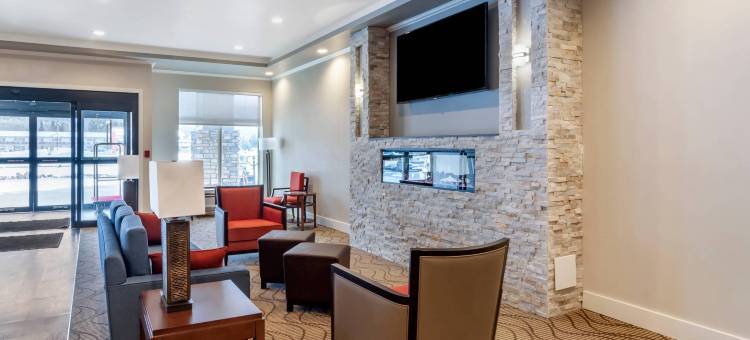 舒适套房酒店(Comfort Inn & Suites)图片