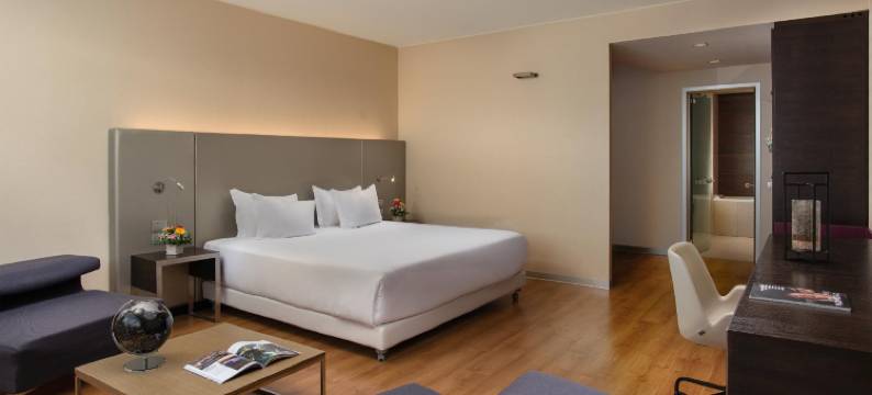 奥里奥阿塞里奥酒店(NH Orio Al Serio)图片