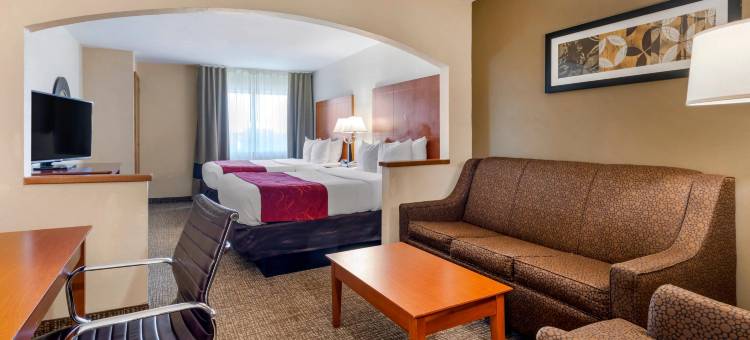舒适套房酒店-达拉斯北(Comfort Suites North Dallas)图片