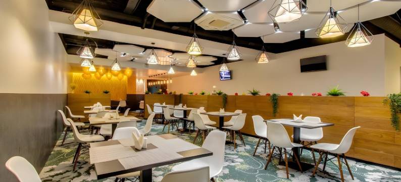 莫斯科夫斯基深处酒店(Sunflower Hotel Vnukovo, ZONT Hotel Group)图片