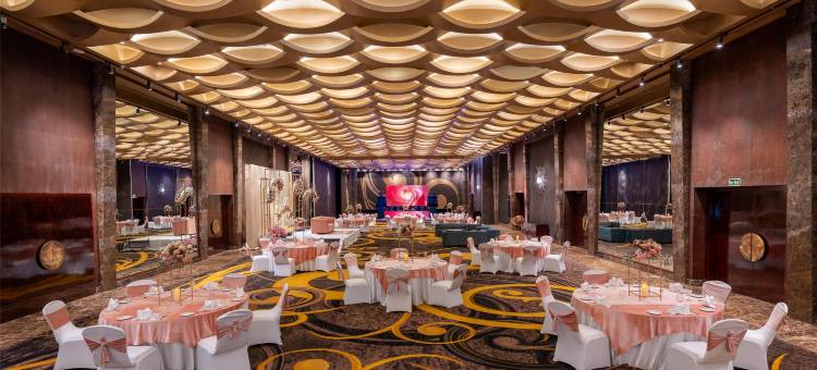 卢迪亚纳丽笙酒店(Radisson Blu Hotel, Ludhiana)图片