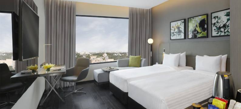 金奈沙米耶尔路诺富特酒店(Novotel Chennai Chamiers Road)图片