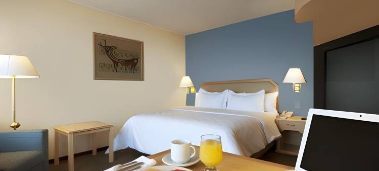 节日酒店快捷埃莫西约(Fiesta Inn Express Hermosillo)图片