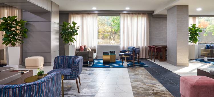 奇夫利休斯顿希尔顿启缤精选酒店(The Chifley Houston, Tapestry Collection by Hilton)图片