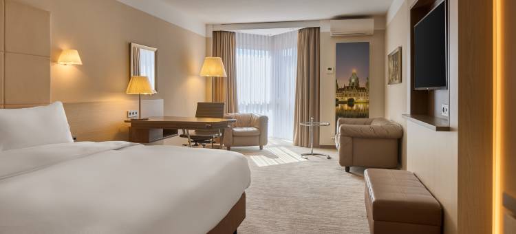 汉诺威希尔顿逸林酒店瑞士宫(DoubleTree by Hilton Hannover Schweizerhof)图片