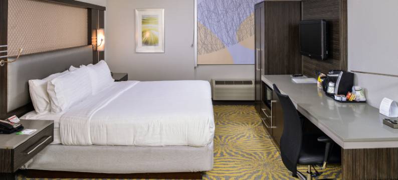 Holiday Inn 达拉斯理查森(Holiday Inn DALLAS-RICHARDSON by IHG)图片