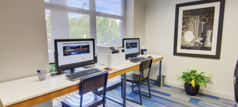 布莱克斯堡大学区智选假日酒店及套房(Holiday Inn Express & Suites BLACKSBURG - UNIVERSITY AREA by IHG)图片