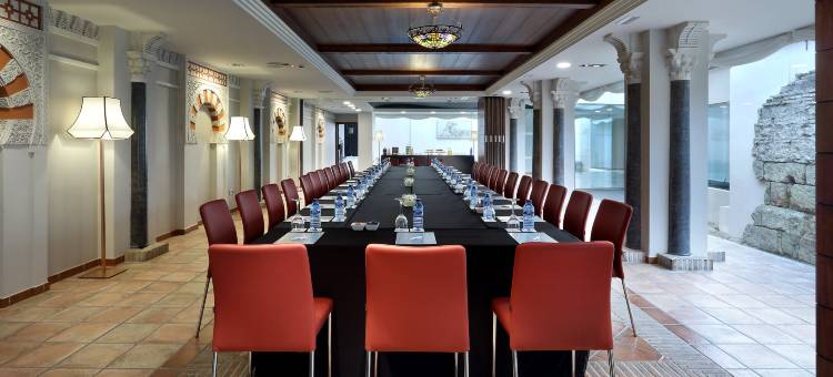 欧洲之星征服者酒店(Eurostars Conquistador)图片